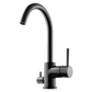 Köksblandare Tapwell EVO184